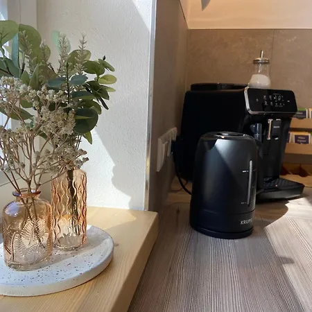 Vakantiehuis Urlaub Am Schwarzbach Mit Sauna Und Whirlpool Haus Felix *